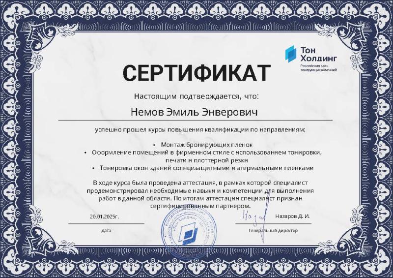 Сертификат Немова Эмиля